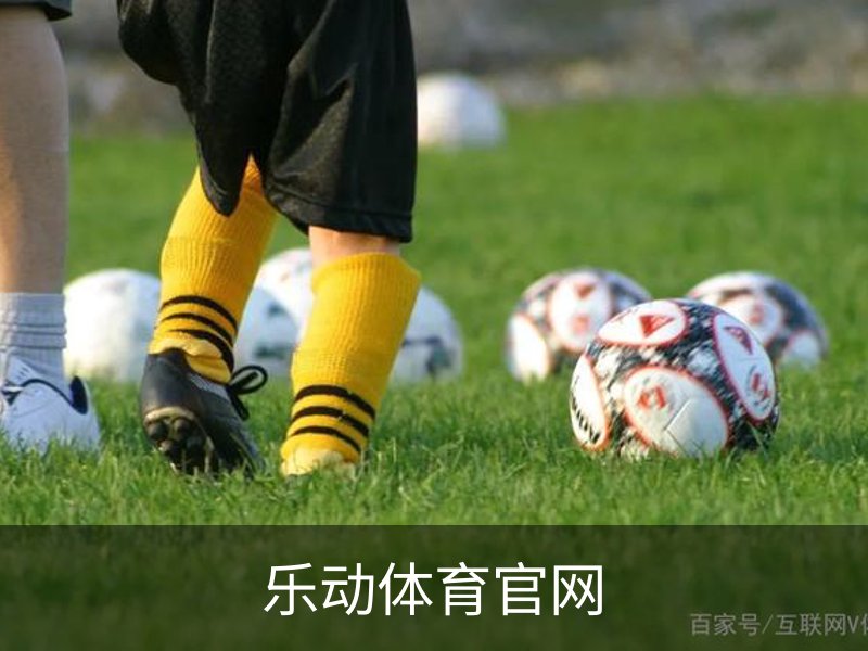 乐动体育官网介绍